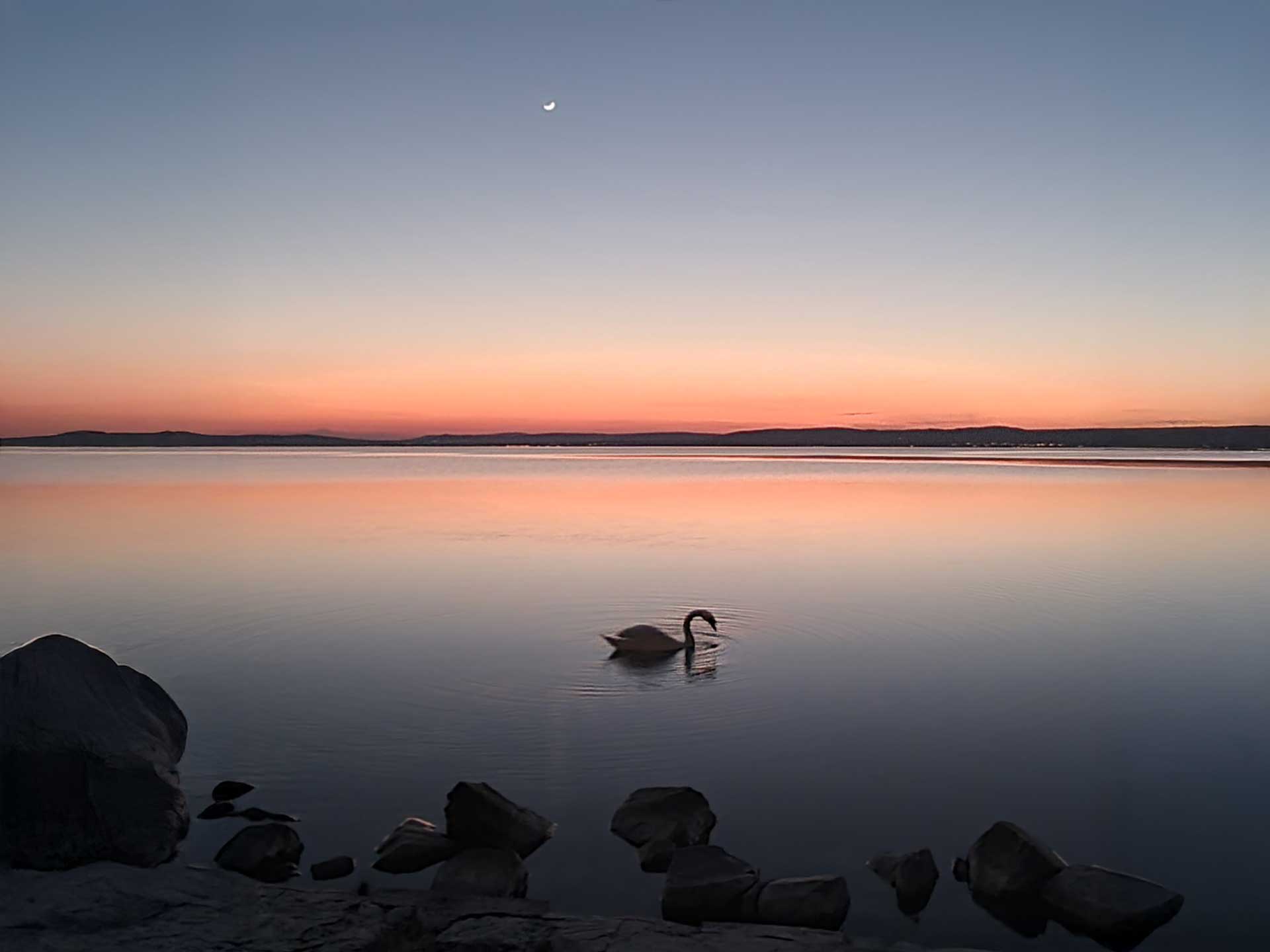 balatoni programok Zamárdi Platán Hotel