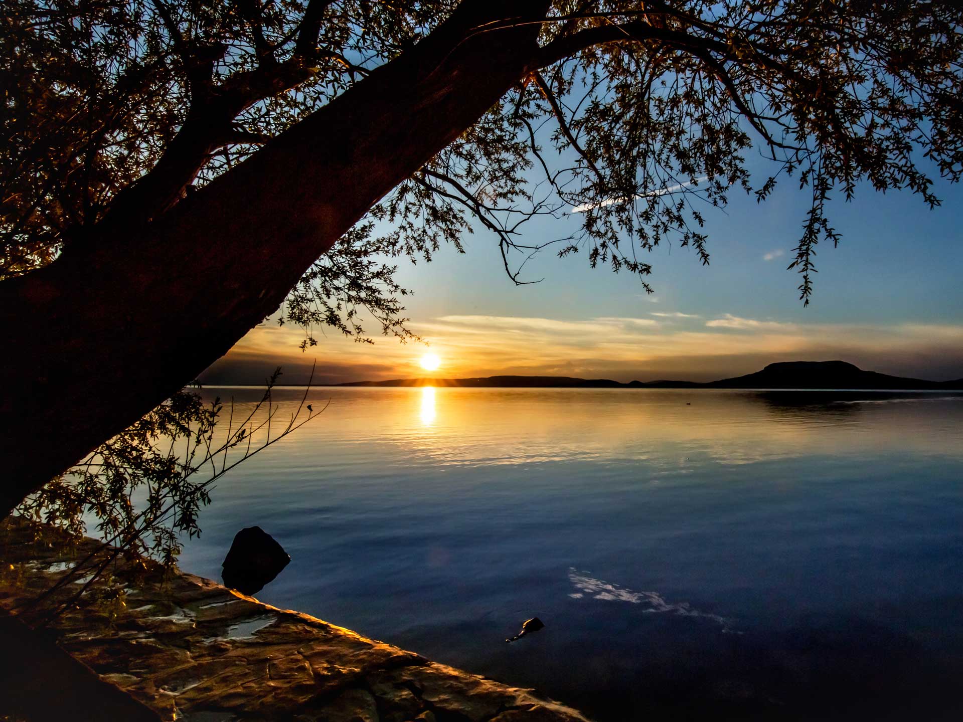 balatoni programok Zamárdi Platán Hotel