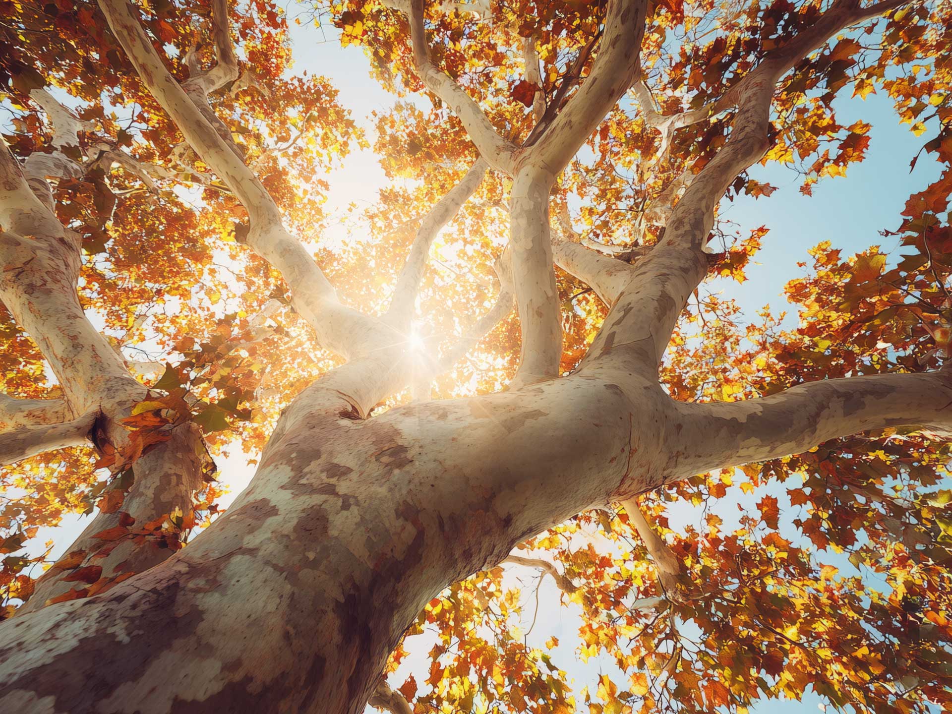 nyaralás balatoni nyaralás Zamárdi Platán Hotel utószezon