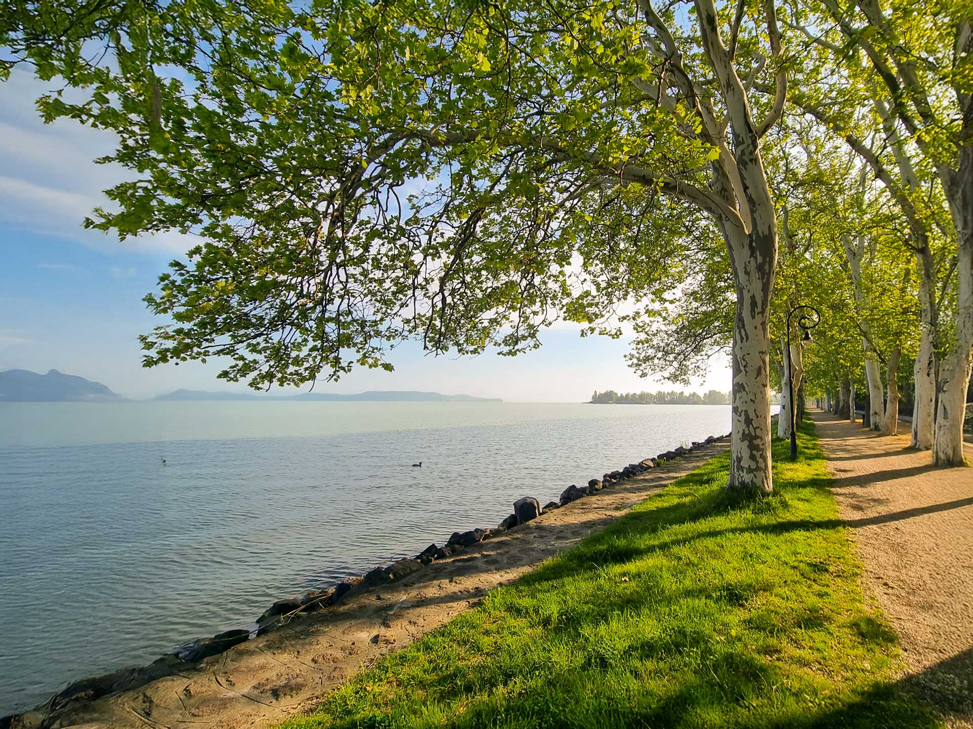 ősz utószezon Balaton Zamárdi Platán Hotel