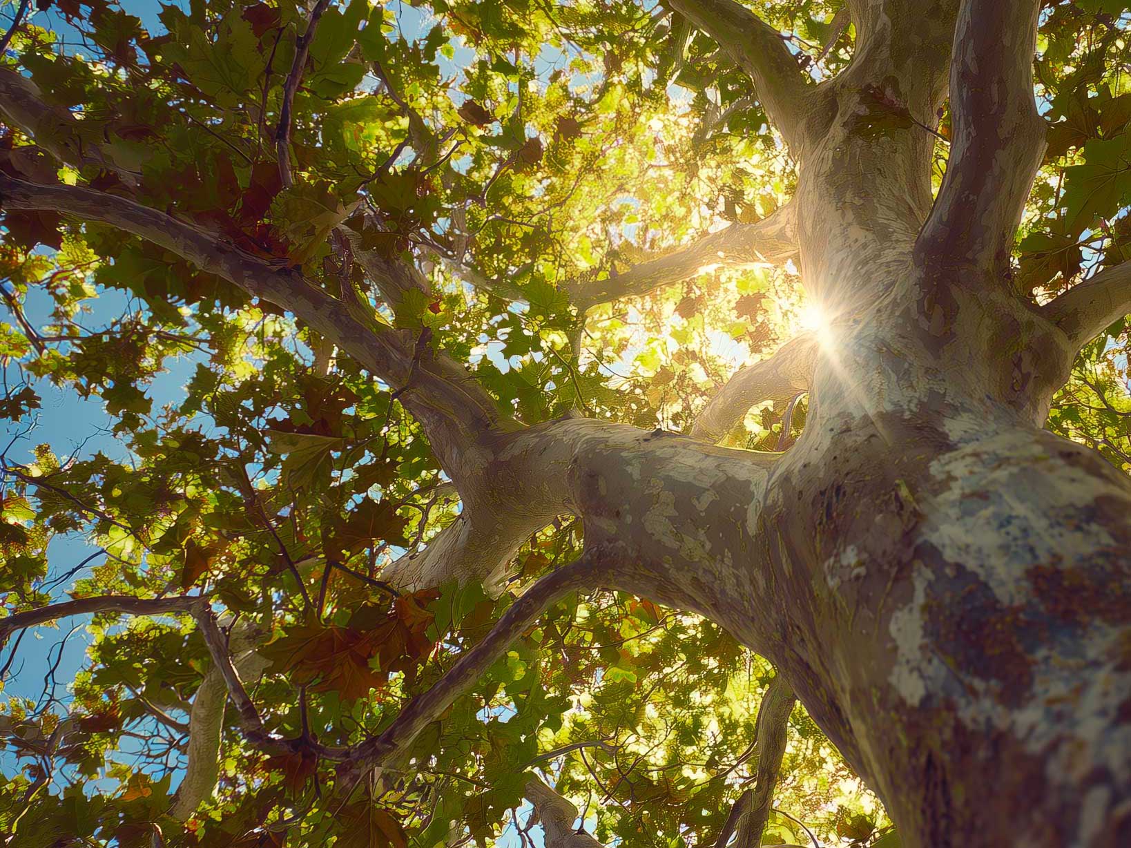 Frühling bis Herbst Zamárdi-Pakete: günstige Unterkünfte am Plattensee, Entspannung in der Sauna, Lavendelwochen, Familienurlaube und romantische Wochenenden am Plattensee.